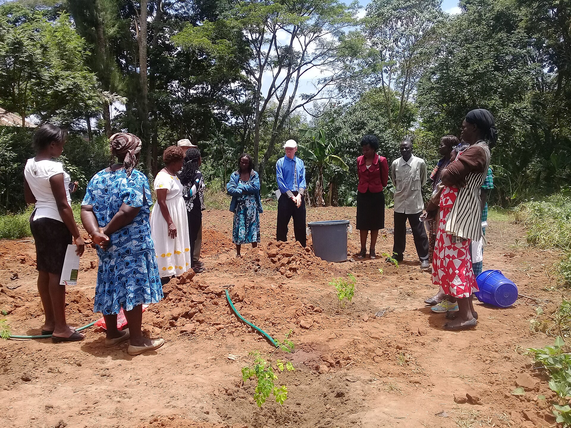 A community tree-planting initiative in Kenya